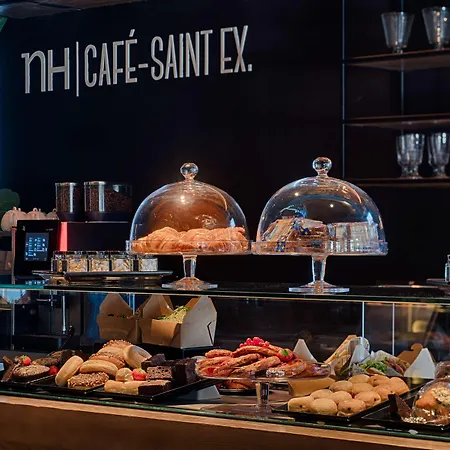 Hotel Nh Lyon Airport 4*