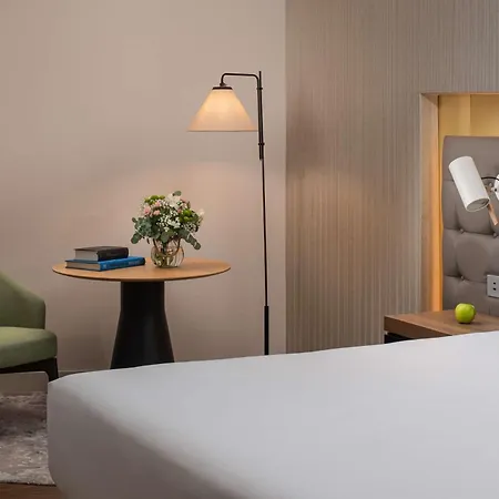 Hotel Nh Lyon Airport 4*
