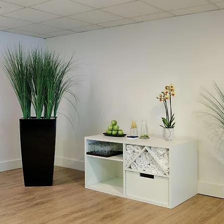 Hotel Nh Lyon Airport Colombier-Saugnieu