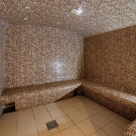 Hotel Nh Lyon Airport 4*