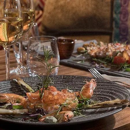 Hotel Nh Lyon Airport